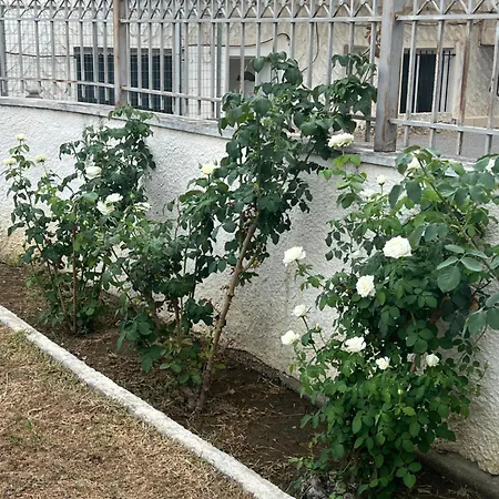 Apartmán Ζαχάρω Suite Zacharo